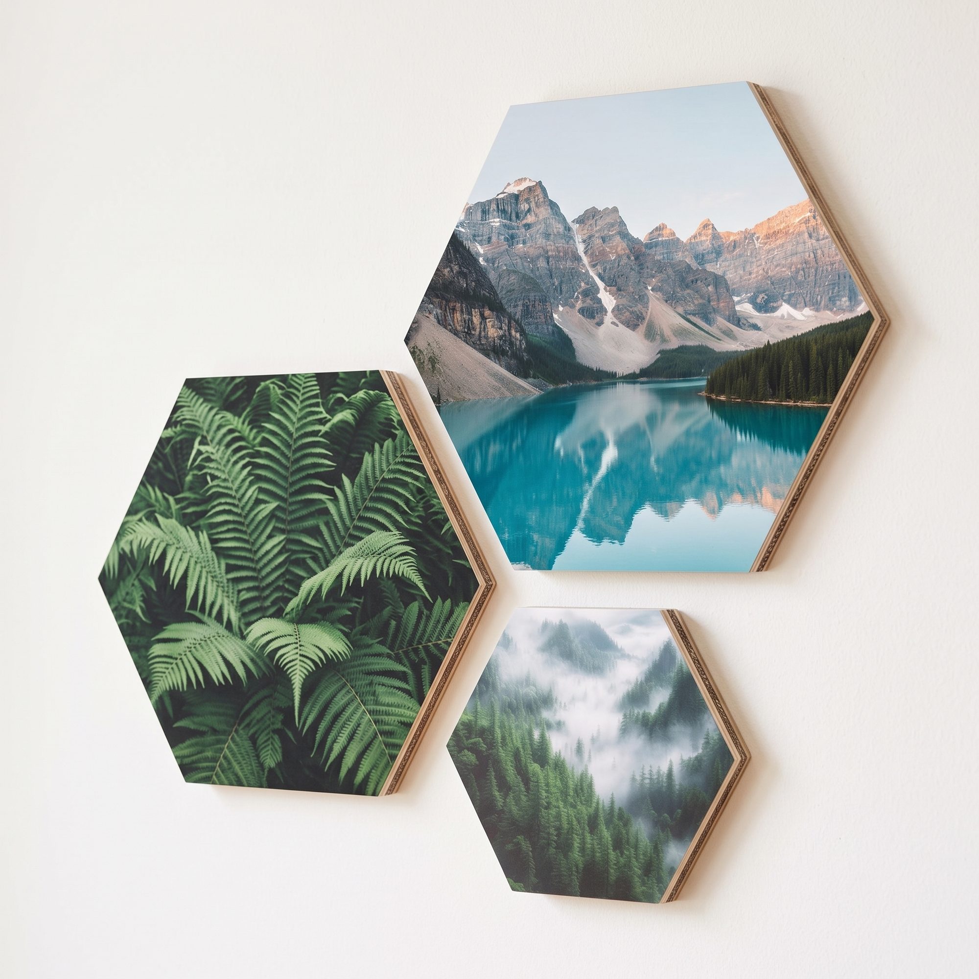Drei Hexagon-Wandbilder mit Naturmotiven an heller Wand